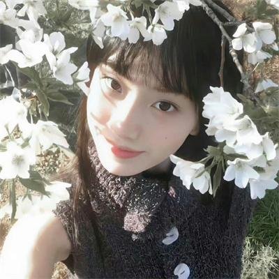 雪豹和她的朋友们